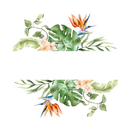 Tropical leaves frame with space for text. Plants strelitzia, monstera, palm, plumeria. Hand drawn watercolor illustration isolated. Postcards, invitations, summer banners, covers, labels.の写真素材