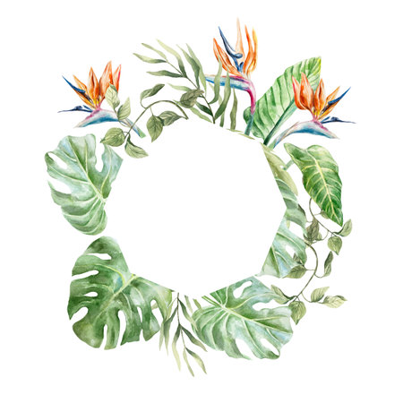 Tropical round frame with monstera, palm, banana leaves, strelitzia flowers. Hand drawn watercolor illustration isolated on white. For postcards, invitations, summer banners, covers, labels.の写真素材