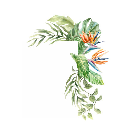 Tropical corner frame with monstera leaves, palm trees, strelitzia flowers. Hand drawn watercolor illustration isolated. For cards, invitations, textiles, fabrics, wrapping paper, wallpapers, covers.の写真素材