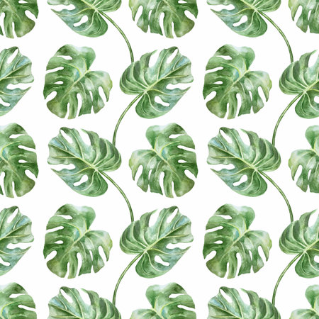 Green monstera leaves seamless pattern. Hand drawn watercolor illustration isolated on white. For greeting cards, invitations, textiles, fabrics, wrapping paper, wallpapers, covers.の写真素材