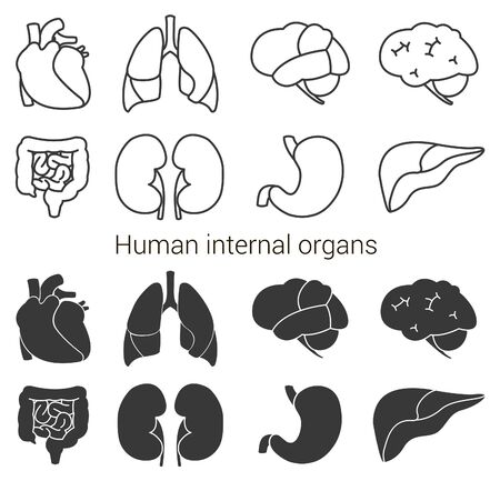 Human organs icon set. Vector illustration isolated on white backgroundのイラスト素材