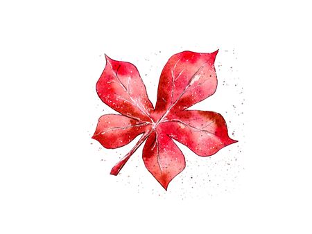 hand-drawn watercolor illustration. Red autumn tree leaf. decoration of postcards, the Halloween tradition. isolated on a white backgroundの写真素材
