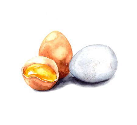 hand-drawn watercolor illustration. image of chicken eggs on a white background. white and brown chicken egg. whole and broken egg with yolk. isolated.の写真素材