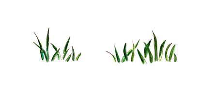 watercolor illustration. green grass, lawn for a football field. isolated on a white background.の写真素材
