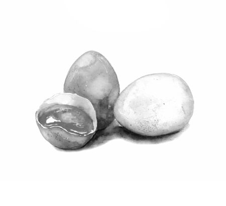 Watercolor illustration.black and white image of three chicken eggs. whole eggs broken egg with yolk. isolated on a white background.の写真素材