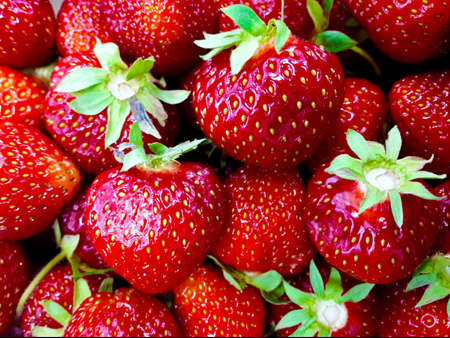 Close up of delicious fresh strawberries ready to eat.の写真素材
