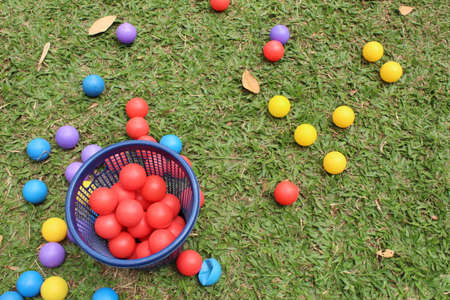 Colourful balls in a basket on the green grass background.