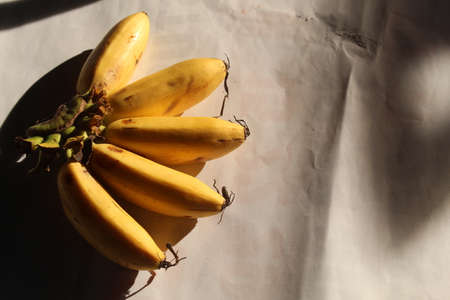 Bananas on a white background. Bananas in the sunlight.の写真素材