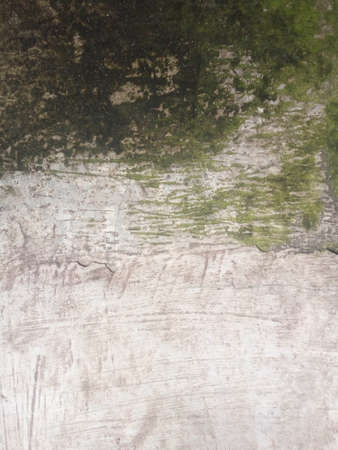 grunge cement wall texture background, grunge cement wall backgroundの写真素材