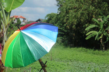 Rainbow umbrella in the garden. Bali island, Indonesia.の写真素材