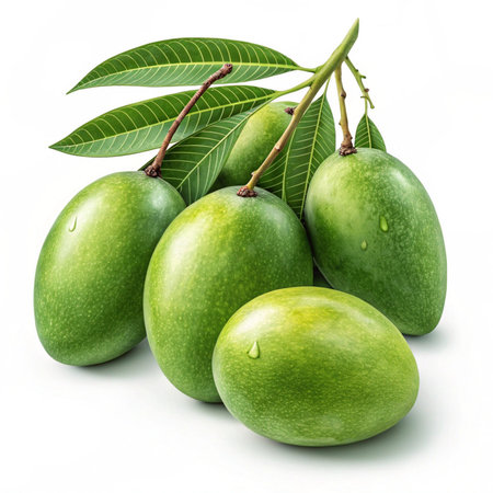 Mango fruits with leaves isolated on white background, clipping path includedの素材