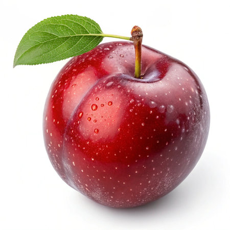 Red plum with leaf isolated on the white background. Clipping Pathの素材