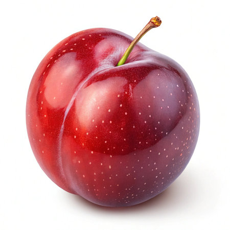 Ripe plum isolated on white background. Clipping path included.の素材