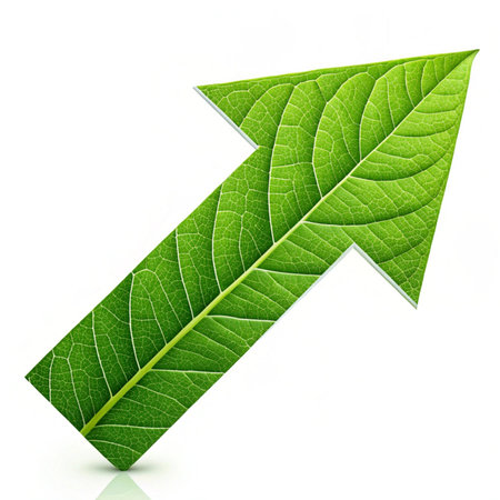Green leaf isolated on white background with clipping path. High resolution photo. Full depth of field.の素材