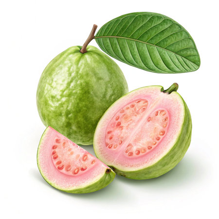 Guava fruit with leaves isolated on white background. Clipping Pathの素材
