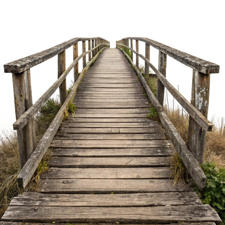 Wooden bridge over the sea on a white background with space for textの素材
