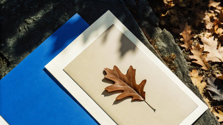 Autumn leaves and photo frame on stone background, top view.の素材