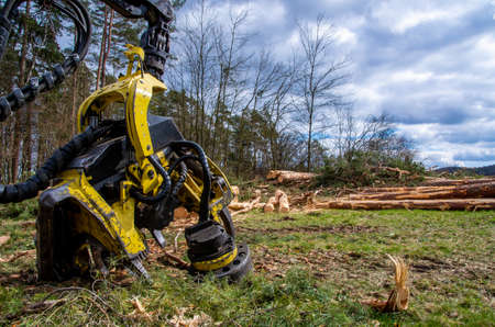 Harvester with logs, forest and cloudy spring sky in the backgroundの写真素材