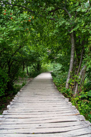 Plitvice Lake National Park, Croatia - 17.8.2021. A narrow wooden footbridge through the Plitvice Lakes National Park.のeditorial素材