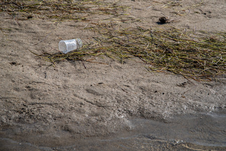 Plastic cups lie on the beach, algae on the waterlineの写真素材