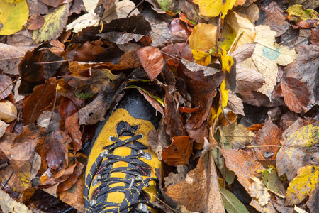 Yellow hiking boot in autumn leaves