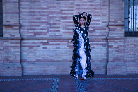 Young female flamenco artist, Hispanic and brunette, with typical flamenco dance suit in movement. Concept of flamenco, dancer, intangible cultural heritage of humanity.の写真素材