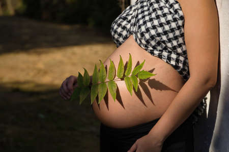 Young pregnant woman holding a fern branch over her belly in an outdoor park. Concept pregnancy, maternity, baby, newborns.の写真素材