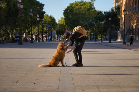 A young Hispanic man with a beard, sunglasses and a black shirt, climbed on a bench with his dog as he caresses him under the sun's rays. Concept animals, dogs, love, pets, golden.の写真素材