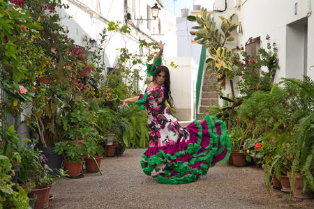 Young woman, beautiful, brunette, flamenco dancer, with a beautiful dress, dancing inside a nice and typical Andalusian courtyard full of flowerpots. Flamenco concept, dancer, Spanish, Seville.の写真素材