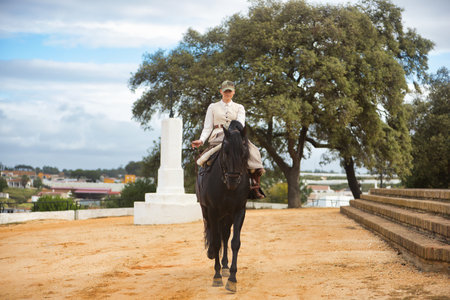 Young female horsewoman riding a black Spanish thoroughbred horse, trotting with him towards the camera. She has a saddle on the side and a riding crop. Concept horse riding, woman horse, dressage.の写真素材
