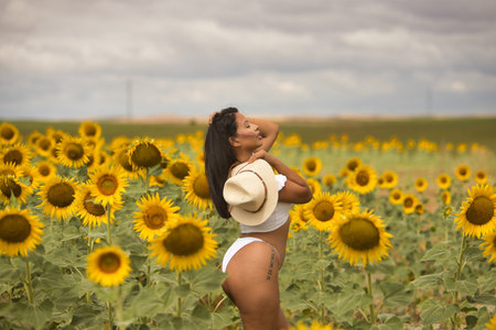 Young, beautiful, Latina brunette woman wearing a white top and bikini, hat, sensual and provocative, in the middle of a field of sunflowers. Concept: nature, agriculture, countryside.の写真素材
