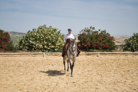 Young, beautiful, blonde woman in white shirt, leather chaps, riding boots and hat, riding her horse in the riding arena area of the stable. Concept animals, riding, horses, sport.の写真素材
