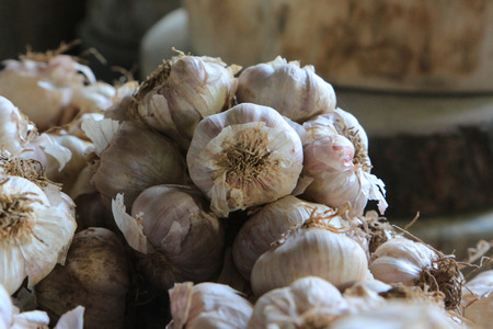 Lots of garlic.の写真素材