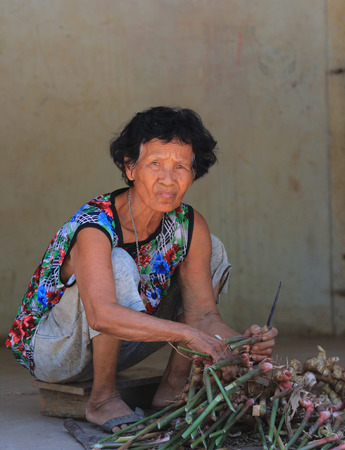 Grandmother is a farmer.She is peeling galangal.の写真素材