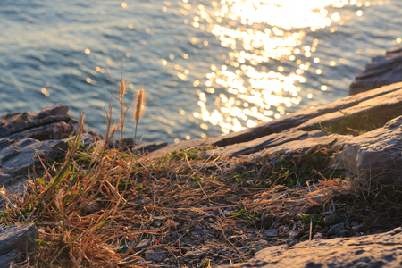 Beach, sea waves and blue sea at Sichang Island, Chonburi, Thailandの写真素材