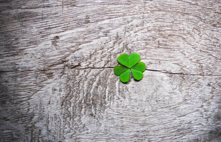 Fresh green clover leaves over wooden background, lucky shamrock, St Patrick