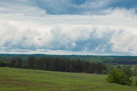 green meadow under the blue cloudy sky going beyond the horizonの写真素材