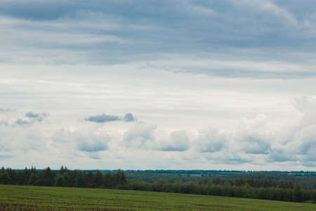 green meadow under the blue cloudy sky going beyond the horizonの写真素材