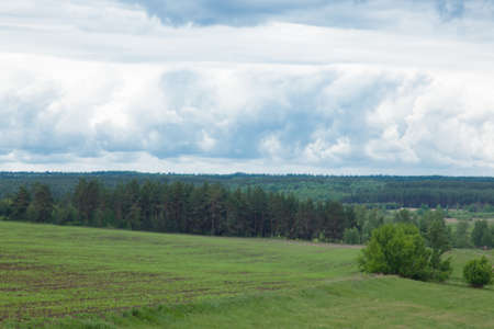 green meadow under the blue cloudy sky going beyond the horizonの写真素材