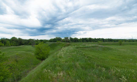 green meadow under the blue cloudy sky going beyond the horizonの写真素材