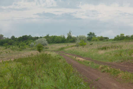 dirt road in the village cloudy sky in spring in calm dry weather during the dayの写真素材