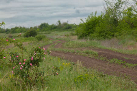 dirt road in the village cloudy sky in spring in calm dry weather during the dayの写真素材