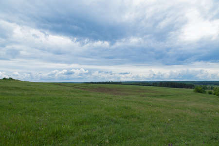 green meadow under the blue cloudy sky going beyond the horizonの写真素材