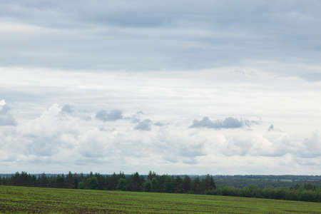green meadow under the blue cloudy sky going beyond the horizonの写真素材