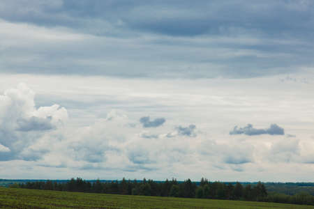 green meadow under the blue cloudy sky going beyond the horizonの写真素材