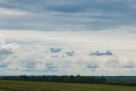 green meadow under the blue cloudy sky going beyond the horizonの写真素材