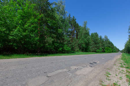 poor country road to the edge of a coniferous forest A bright summer sunny dayの写真素材