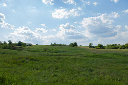 Grass goes beyond the horizon and  white cloud on the blue setの写真素材