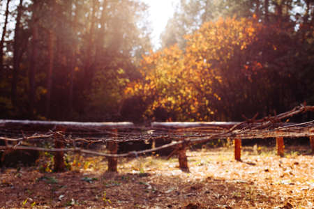real battle tanks disguised in the trenches Donbass Ukraineの写真素材