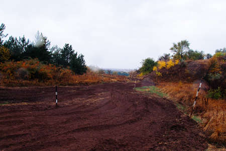 tank in the forestの写真素材